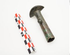 Foto von Bronzeortband (NHMW-PRAE-025457)